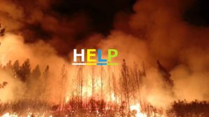 【チャンス！！】みんなで小島瑠璃子さんを救おう。