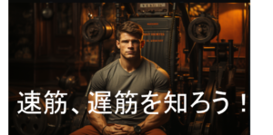 筋肥大を考えるなら速筋と遅筋は知っておこう！