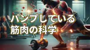 これを知らずに筋トレはするな！なぜ筋肉は大きくなるのか？