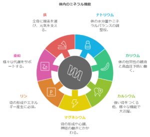「筋トレ効果を最大化！ビタミンとミネラルがもたらすパフォーマンスアップの秘訣」