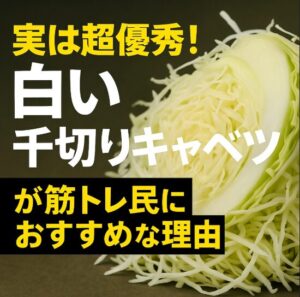 実は超優秀！イオンの“白い千切りキャベツ”が筋トレ民におすすめな理由【栄養バランスを制する者は筋肉を制す】