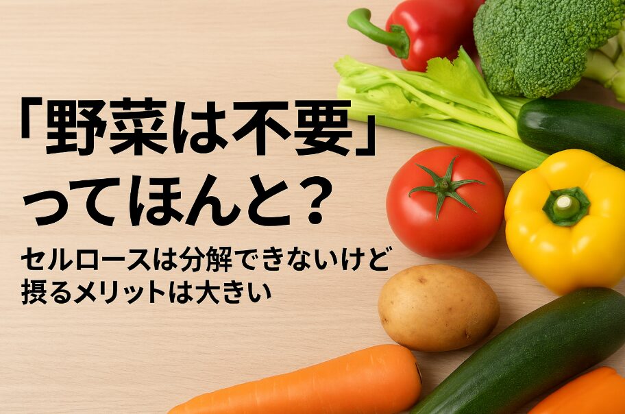 先生、それは短絡的すぎる！野菜は“分解できない”からこそ体に必要な理由